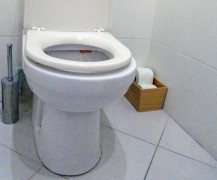Otpušavanje wc šolje Palilula
